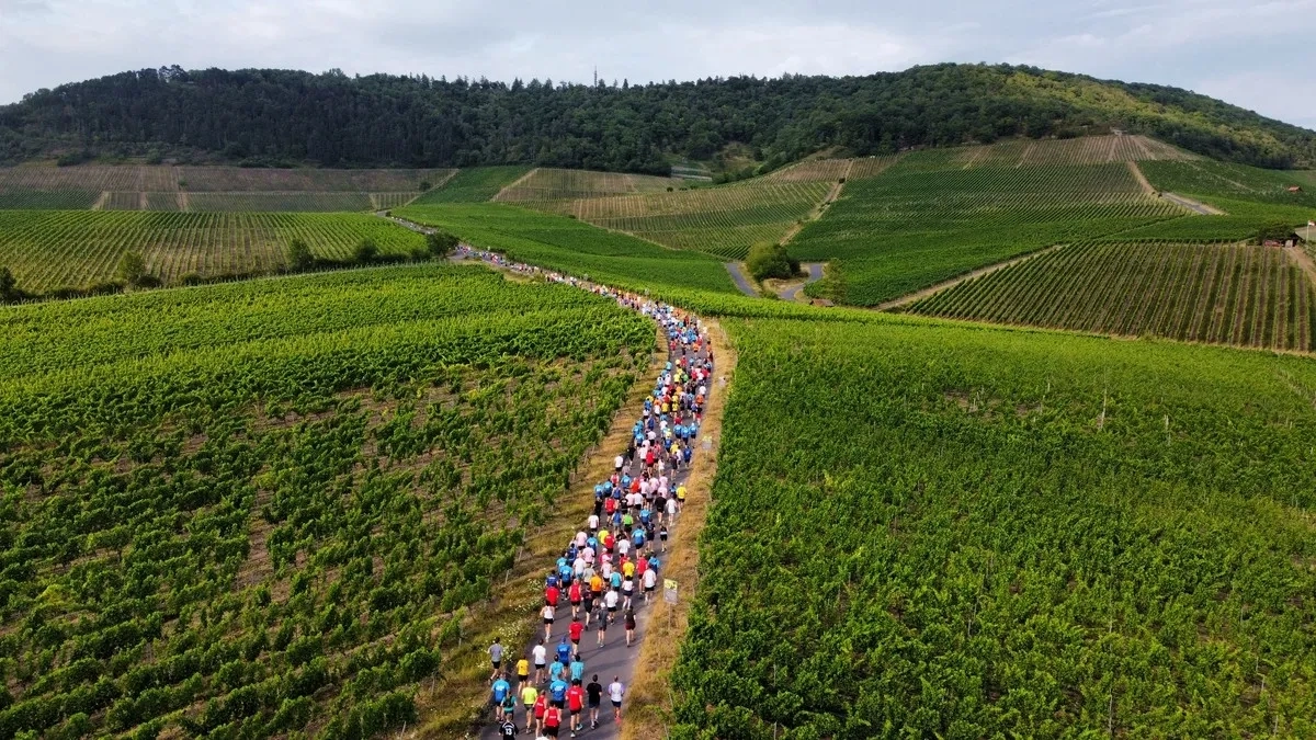 Schwanberglauf Iphofen-Castell 2025 (Foto: © Veranstalter) Schwanberglauf Iphofen-Castell 2025 (Foto: © Veranstalter)