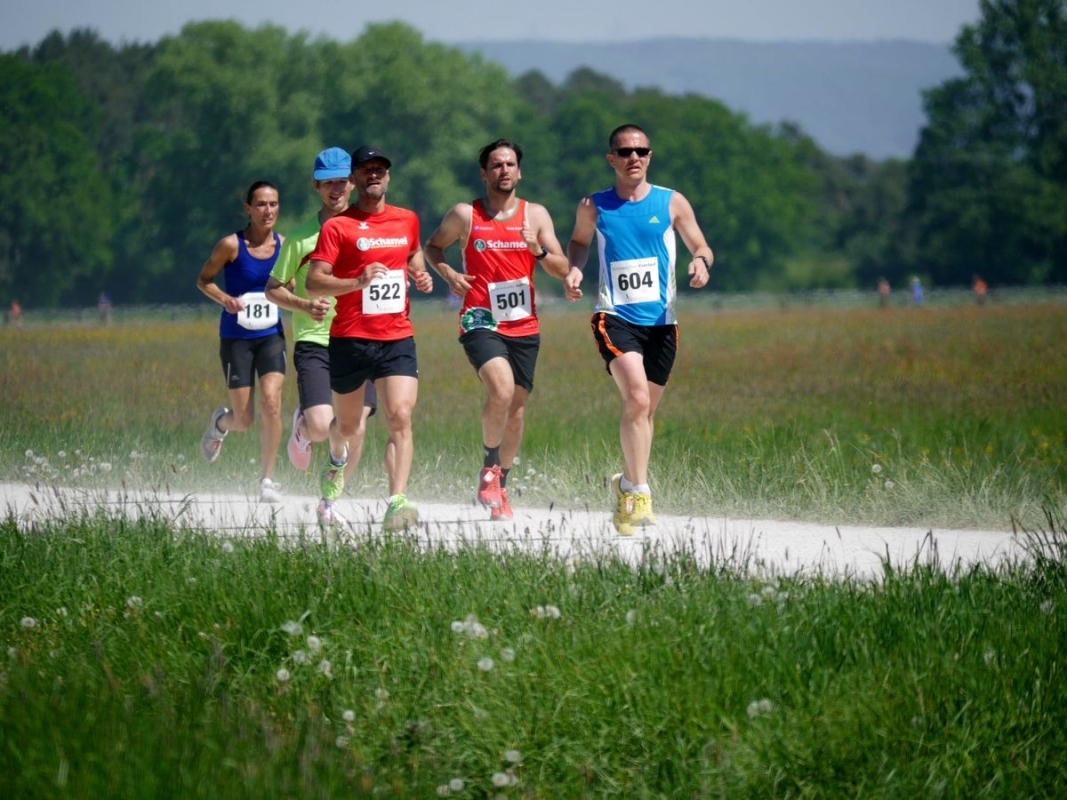 Baiersdorfer Krenlauf Baiersdorfer Krenlauf