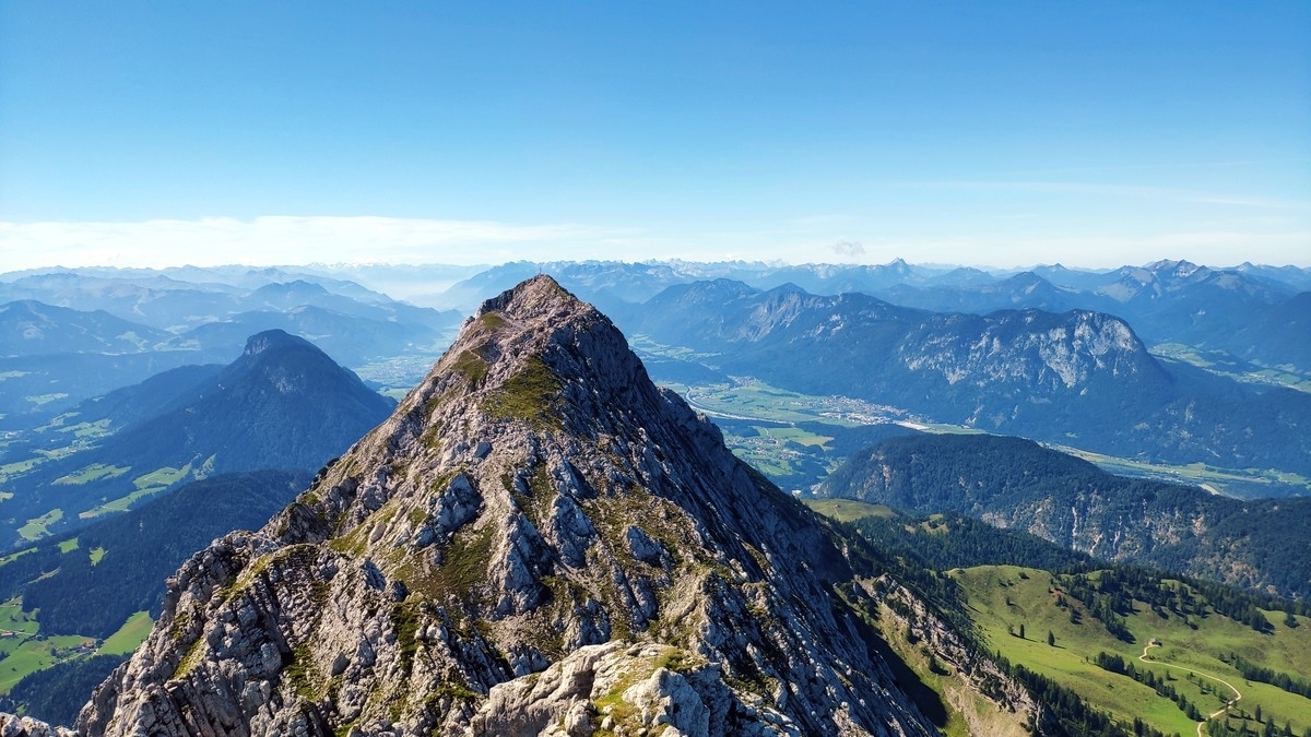 Scheffauer Scheffauer