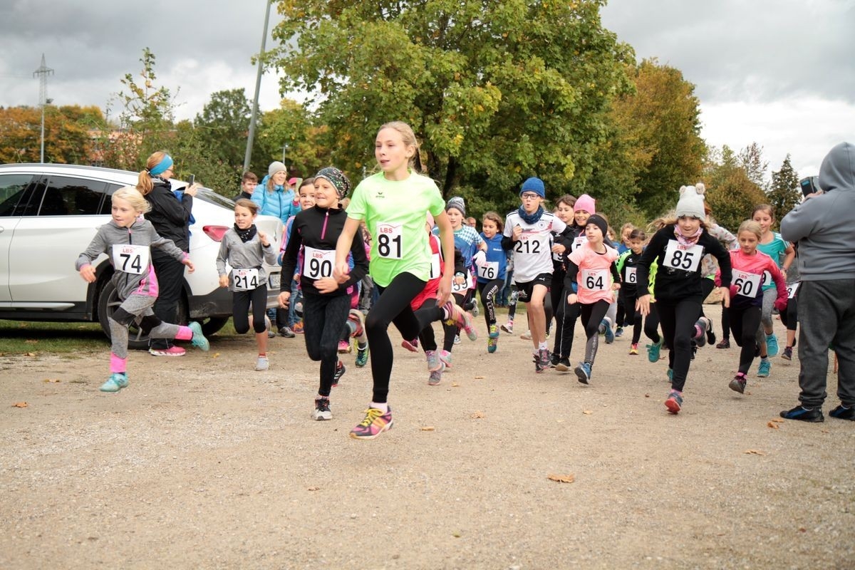 Mainburger Crosslauf, Foto: Veranstalter Mainburger Crosslauf, Foto: Veranstalter