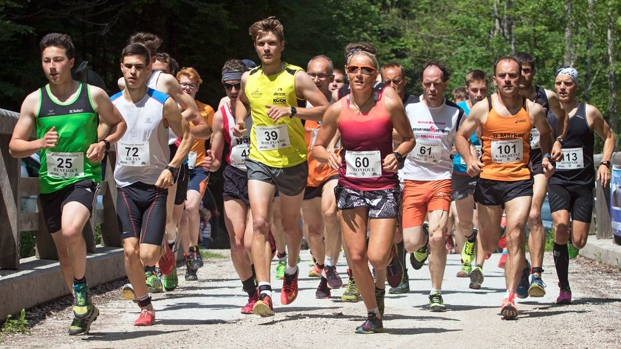 Stoisser Alm Berglauf (C) Veranstalter Stoisser Alm Berglauf (C) Veranstalter