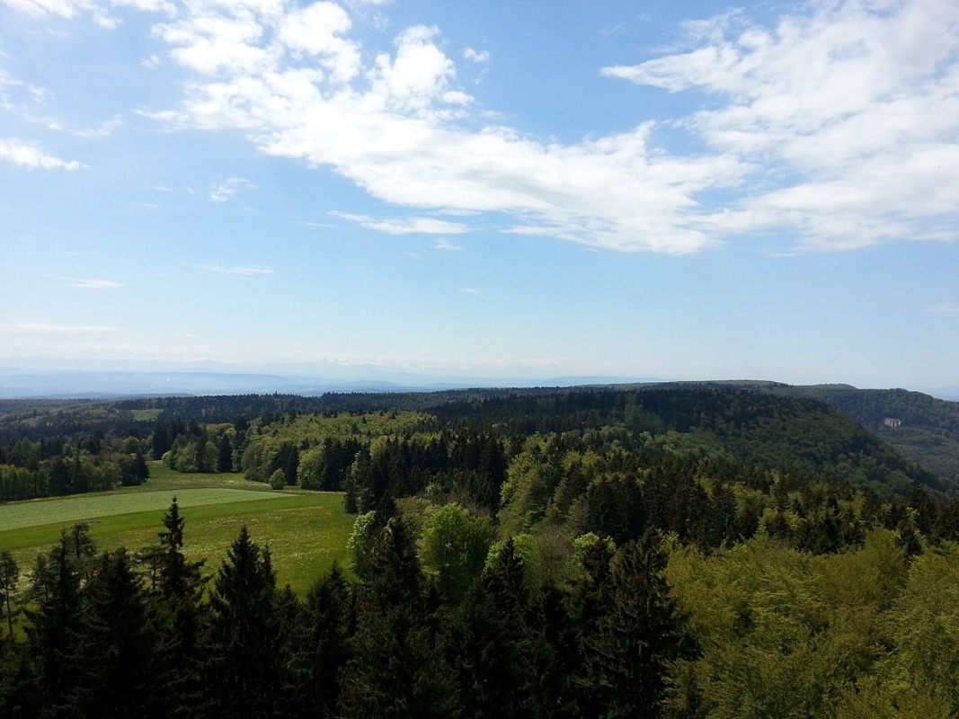 Hagen, Foto: Tschubby, Lizenz: Creative Commons Attribution-Share Alike 3.0 Unported Hagen, Foto: Tschubby, Lizenz: Creative Commons Attribution-Share Alike 3.0 Unported