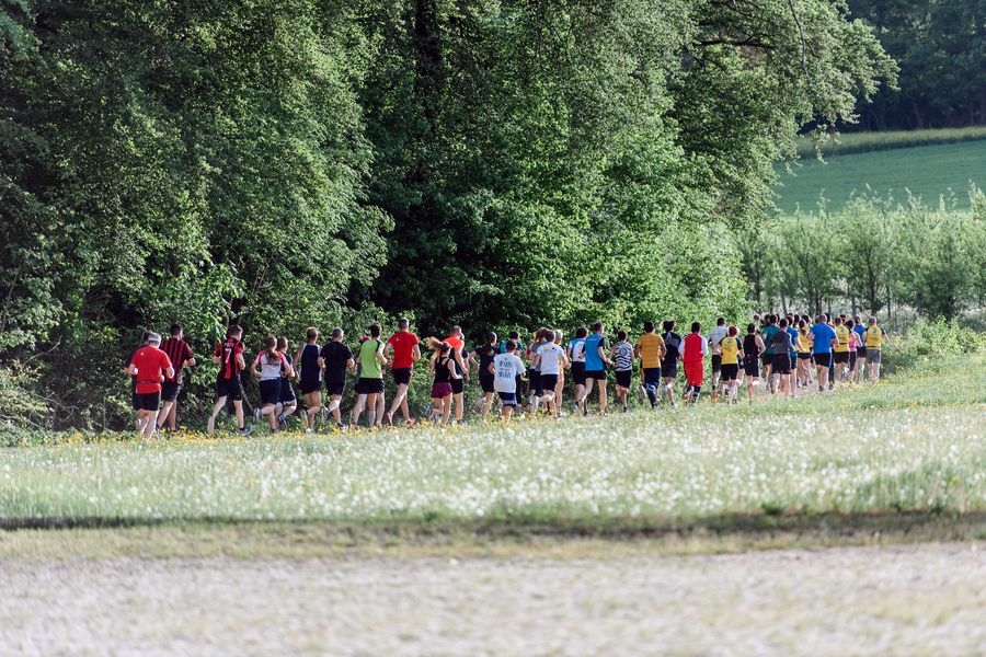 SRS-Waldlauf rund um’s Eschheimertal (C) Veranstalter SRS-Waldlauf rund um’s Eschheimertal (C) Veranstalter