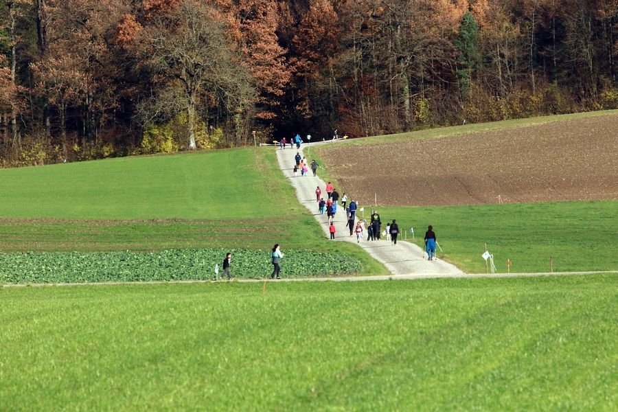 Hegemer Chlauslauf (C) Veranstalter Hegemer Chlauslauf (C) Veranstalter