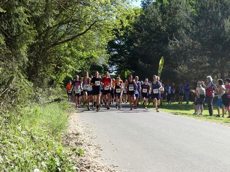 Mittelrhein-Volkslauf Alfter (C) Veranstalter Mittelrhein-Volkslauf Alfter (C) Veranstalter