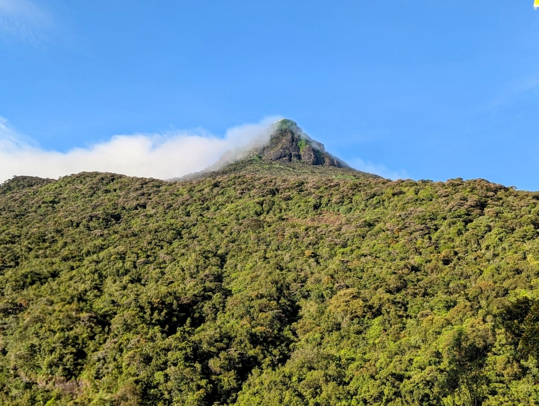 Adams Peak Wanderung 08: Gipfel Adams Peak Wanderung 08: Gipfel