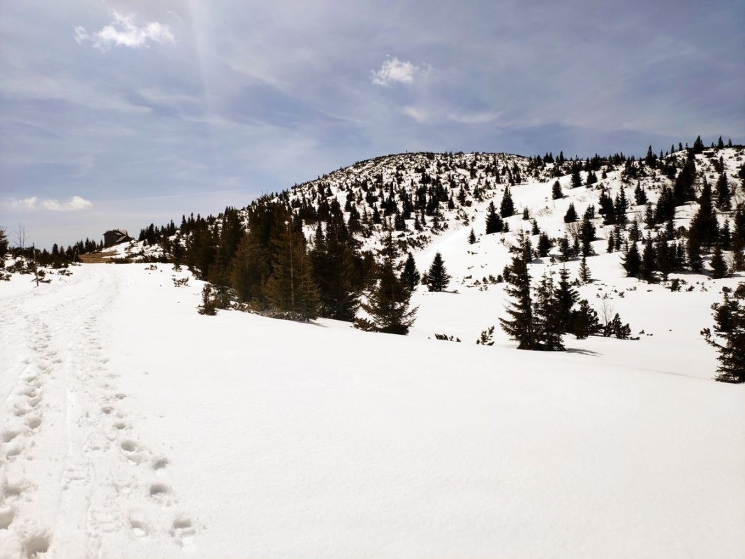 Teufelsbadstubensteig 27: Kurz vor dem Ottohaus Teufelsbadstubensteig 27: Kurz vor dem Ottohaus