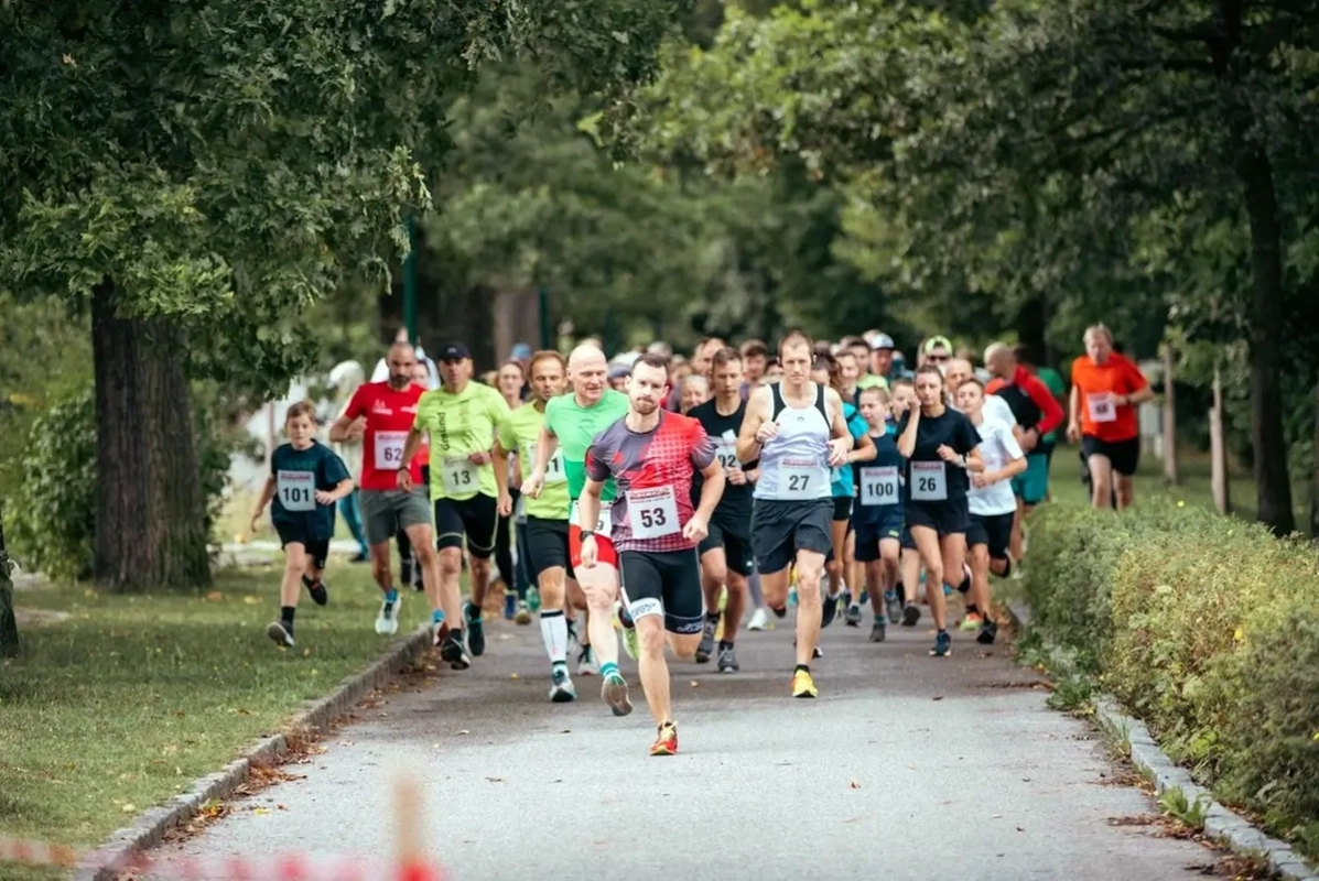 Allentsteiger Seelauf 2023, Start Allentsteiger Seelauf 2023, Start