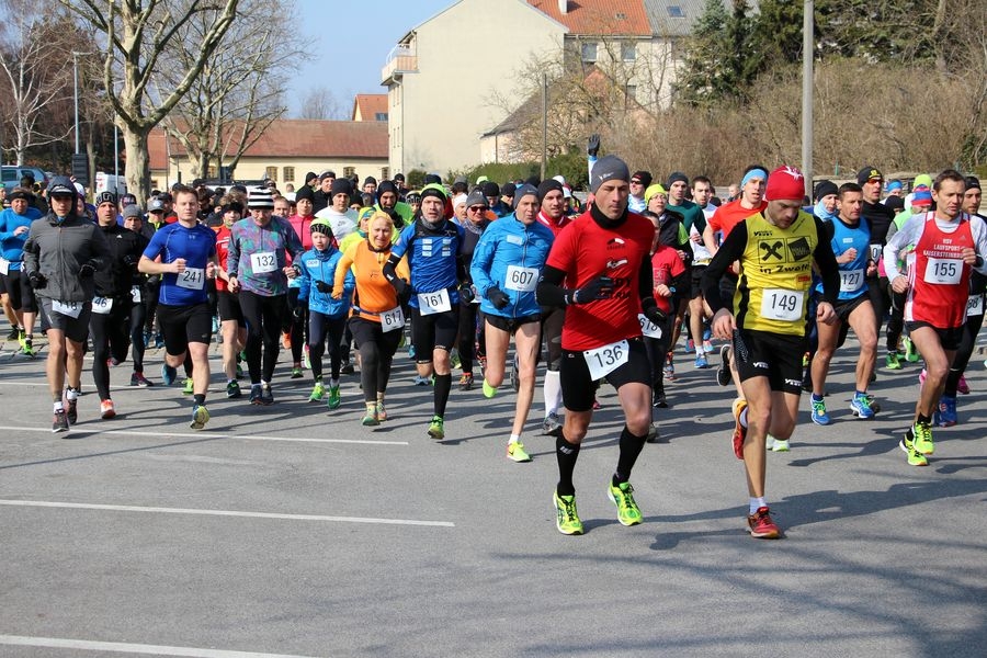 Fischamender Stadtlauf 2018 – Jerry Geringer Gedenklauf Fischamender Stadtlauf 2018 – Jerry Geringer Gedenklauf