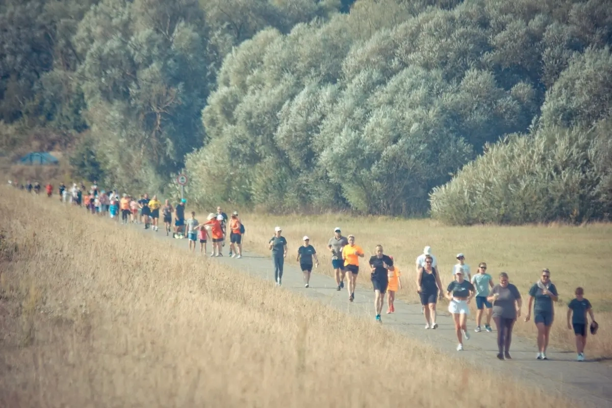 Boizenburg läuft 2025 (Foto: © Veranstalter) Boizenburg läuft 2025 (Foto: © Veranstalter)