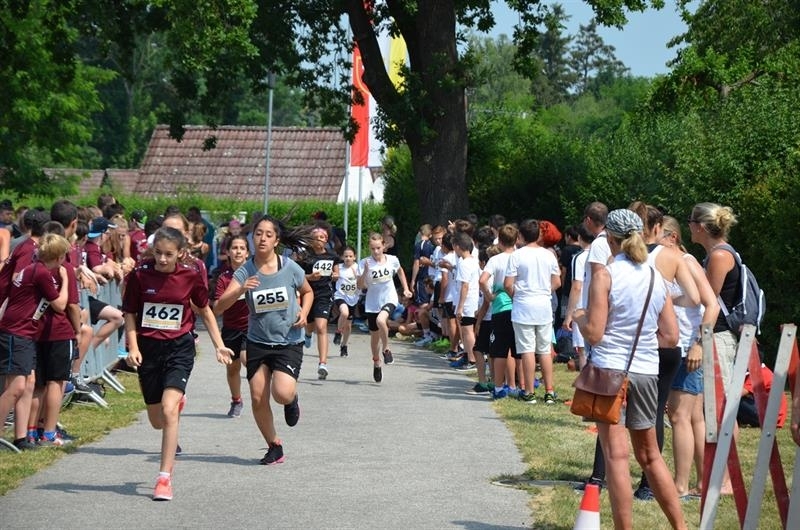 Stadtlauf Neulengbach (C) Veranstalter Stadtlauf Neulengbach (C) Veranstalter