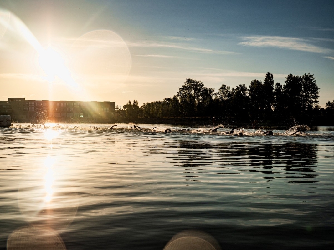 Beindruckendes Ambiente auf der Schwimmstrecke beim Austria Triathlon Podersdorf 2025 (Foto: © Austria Triathlon Podersdorf, Nino Jonas) Beindruckendes Ambiente auf der Schwimmstrecke beim Austria Triathlon Podersdorf 2025 (Foto: © Austria Triathlon Podersdorf, Nino Jonas)