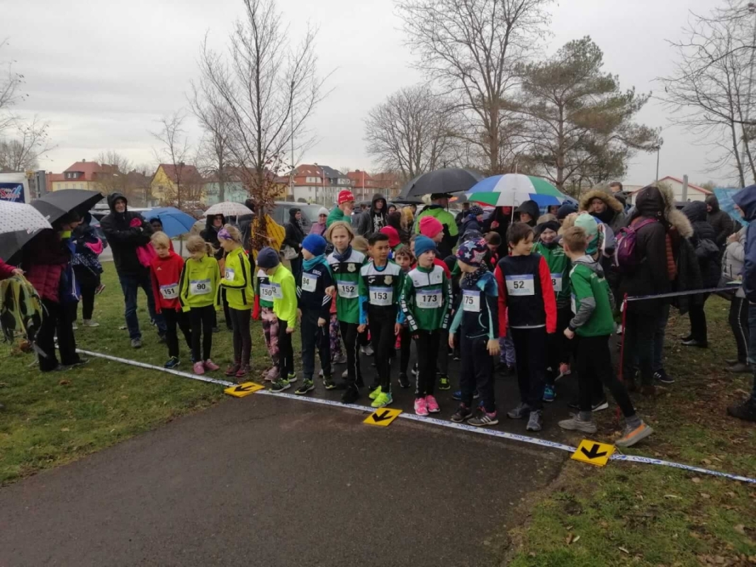 Crosslauf am Bitterfelder Berg, Foto: Veranstalter Crosslauf am Bitterfelder Berg, Foto: Veranstalter