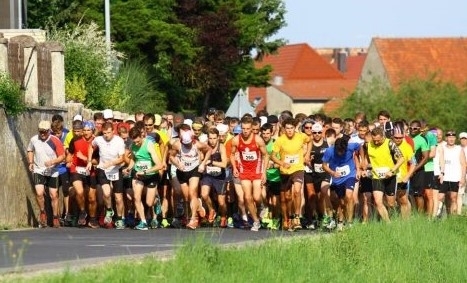 Geiersberglauf Waigolshausen, Foto: Veranstalter Geiersberglauf Waigolshausen, Foto: Veranstalter