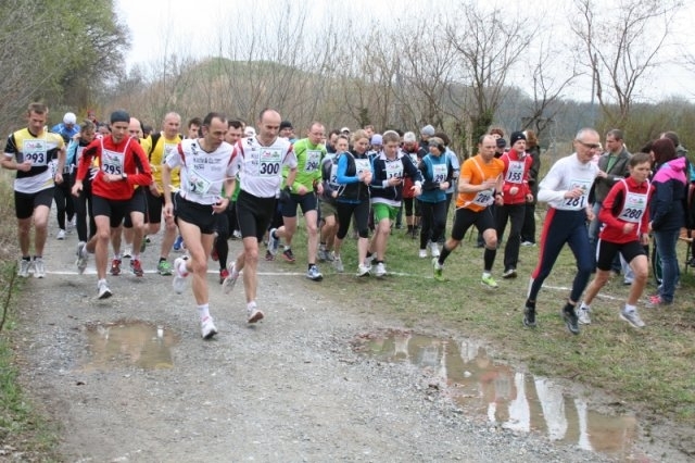 Orther Bärlauch Lauf (C) Veranstalter Orther Bärlauch Lauf (C) Veranstalter