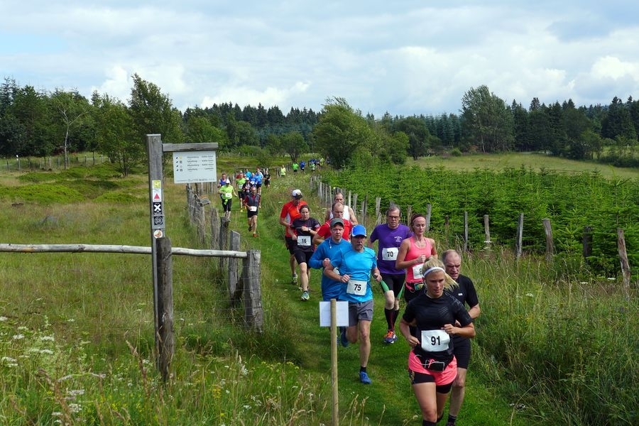 Hochsauerlandlauf (C) Veranstalter Hochsauerlandlauf (C) Veranstalter