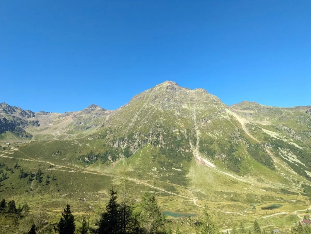 Fundusfeiler Fundusfeiler