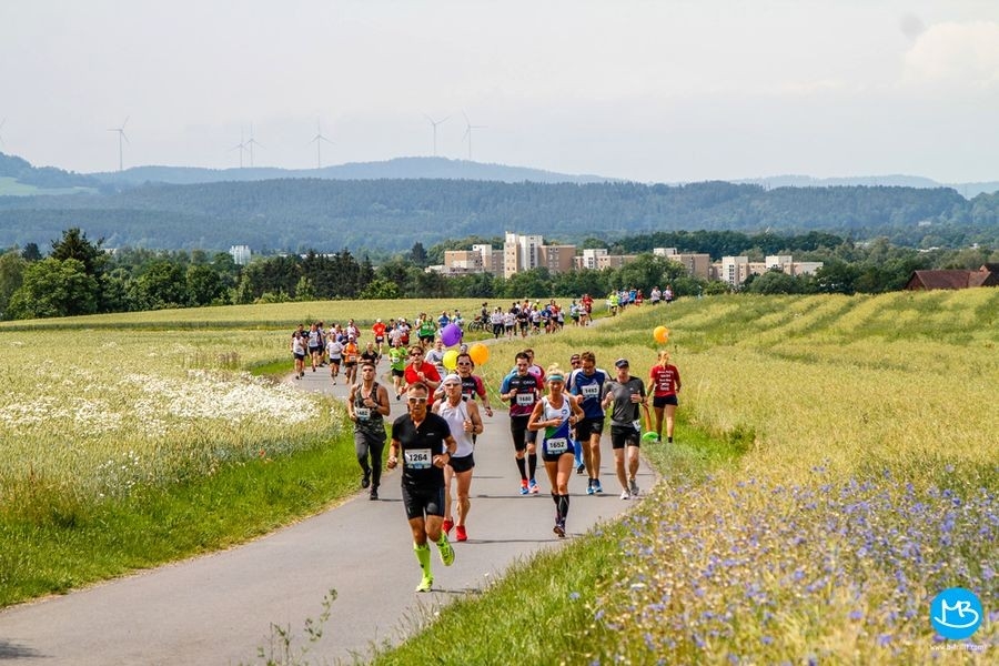 Mainauenlauf (c) Veranstalter Mainauenlauf (c) Veranstalter