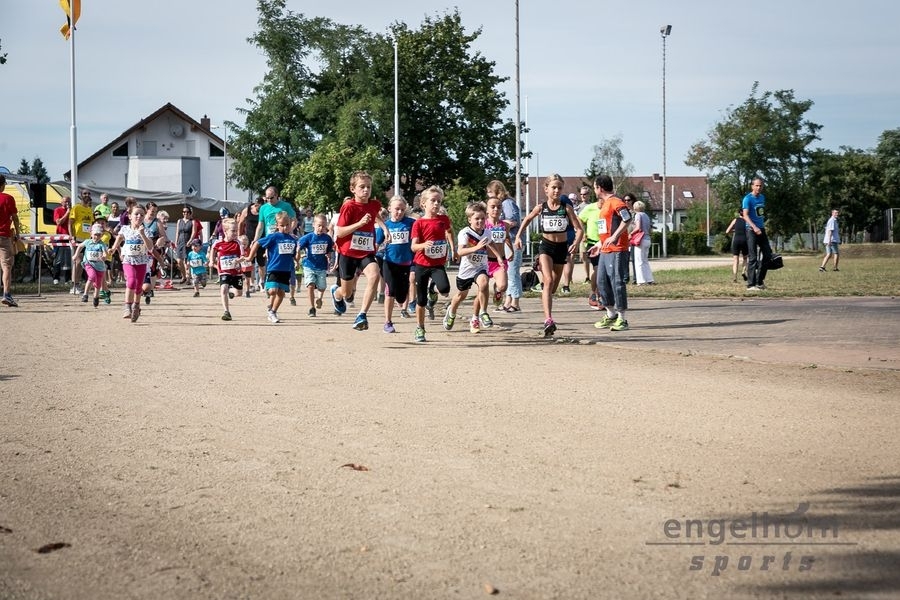 Rheinauer Volkslauf (C) Veranstalter Rheinauer Volkslauf (C) Veranstalter