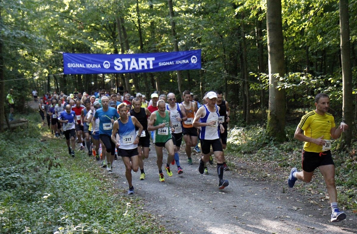 Volkslauf Ulm 2018, Foto Veranstalter Volkslauf Ulm 2018, Foto Veranstalter