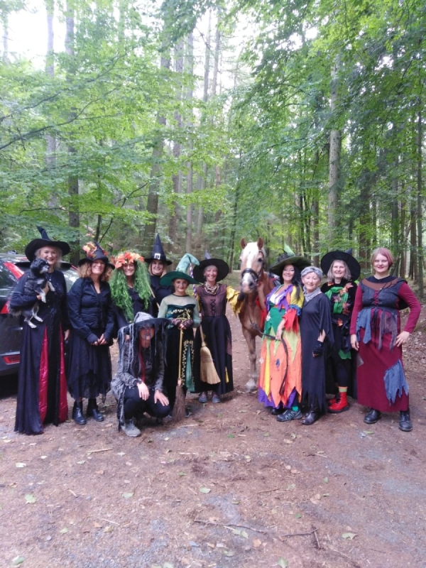 Wald- und Hügellauf Groß-Umstadt Wald- und Hügellauf Groß-Umstadt