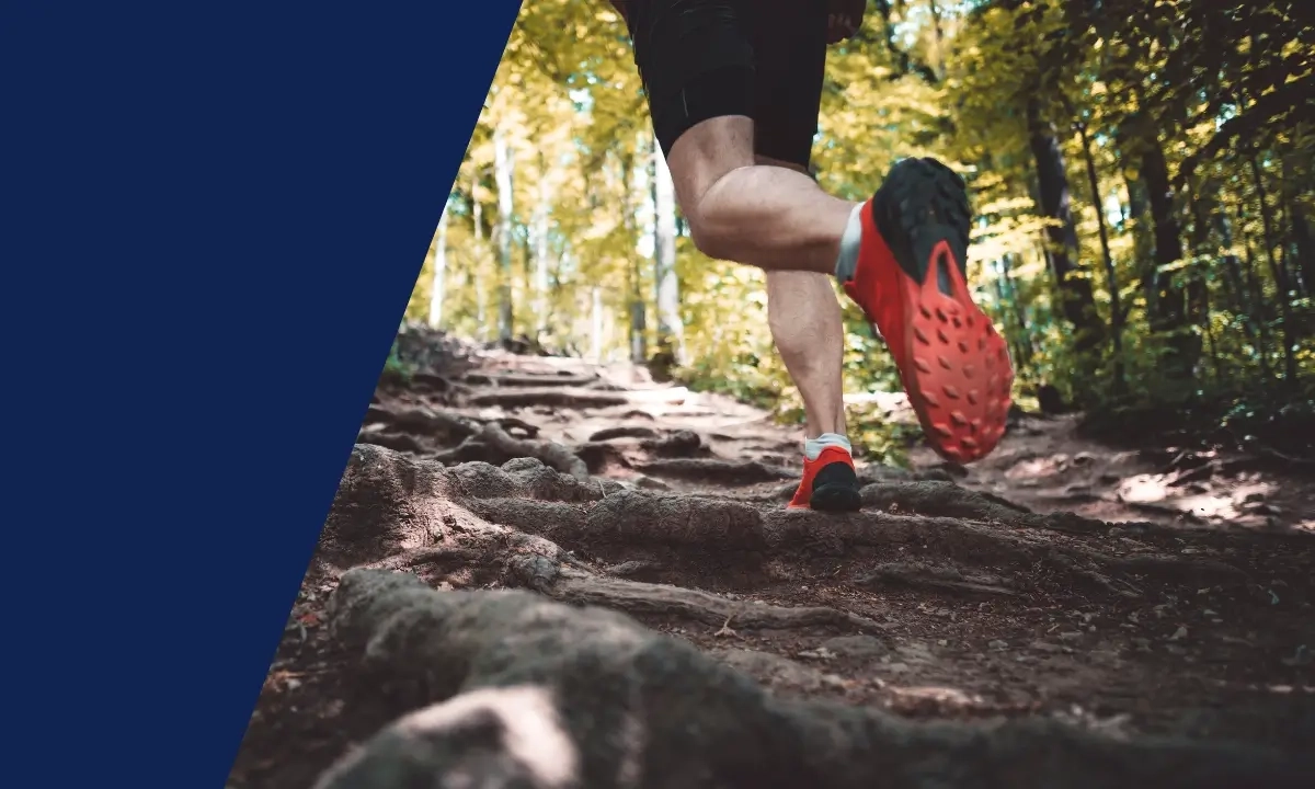 8-Stunden Wurzellauf 8-Stunden Wurzellauf