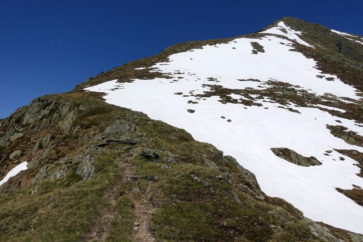 Großer Knallstein 20: Die Route ist hervorragend markiert Großer Knallstein 20: Die Route ist hervorragend markiert