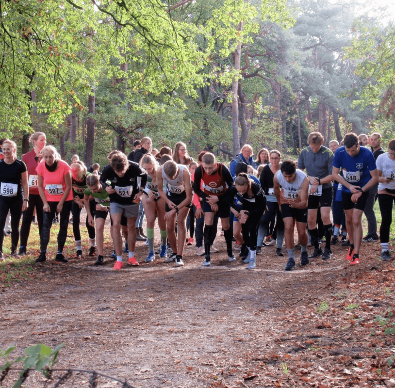Heseper Martinslauf, Foto: © Veranstalter Heseper Martinslauf, Foto: © Veranstalter