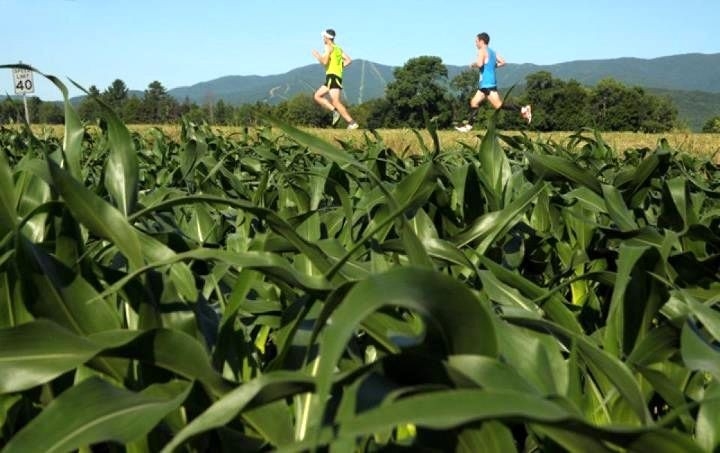 Mad Marathon, Foto: Veranstalter Mad Marathon, Foto: Veranstalter