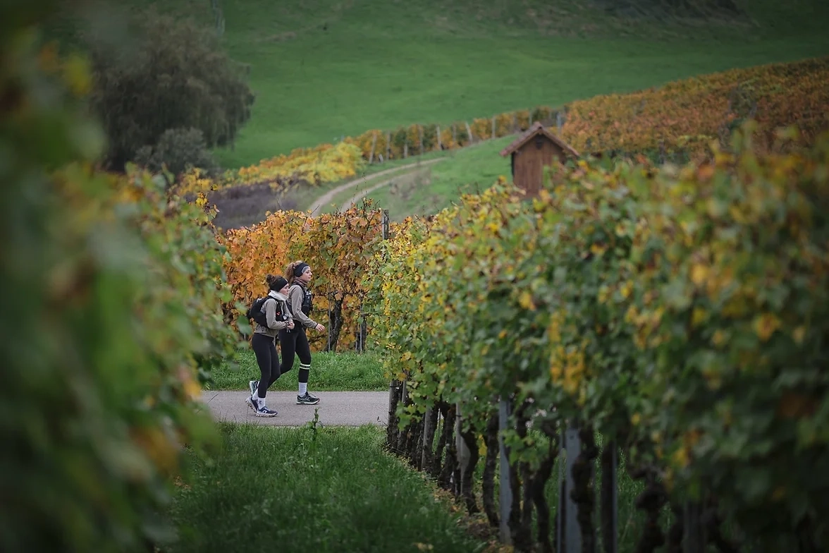 Megamarsch Schaffhausen (Foto: © Veranstalter) Megamarsch Schaffhausen (Foto: © Veranstalter)