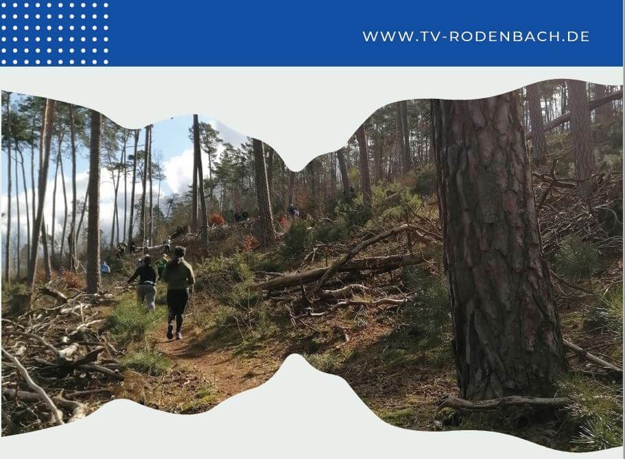 Rodenbacher Trail-Run & Waldlauf, Foto: TV Rodenbach Rodenbacher Trail-Run & Waldlauf, Foto: TV Rodenbach