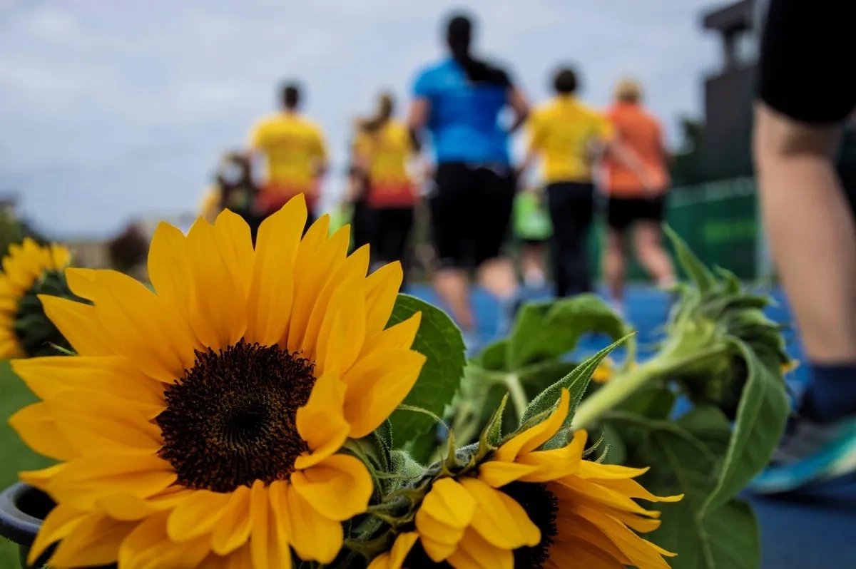 Laufend gegen Krebs Leipzig 2025 (Foto: © Veranstalter) Laufend gegen Krebs Leipzig 2025 (Foto: © Veranstalter)