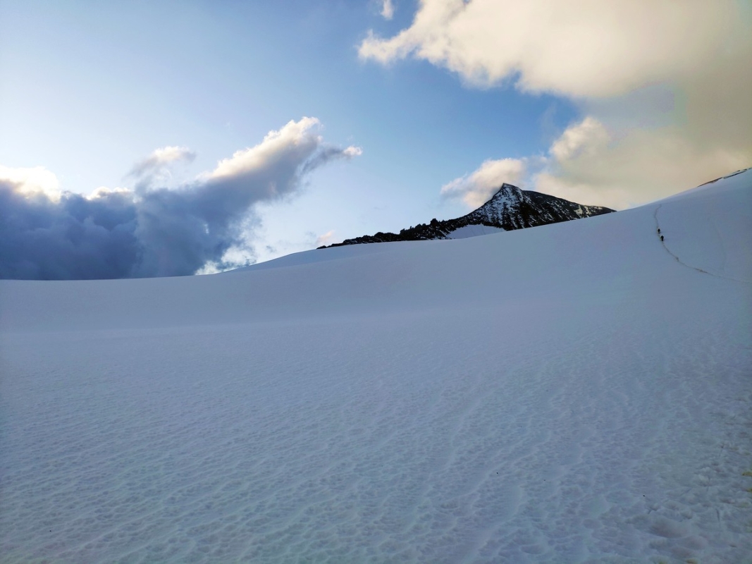 Kleinvenediger Kleinvenediger