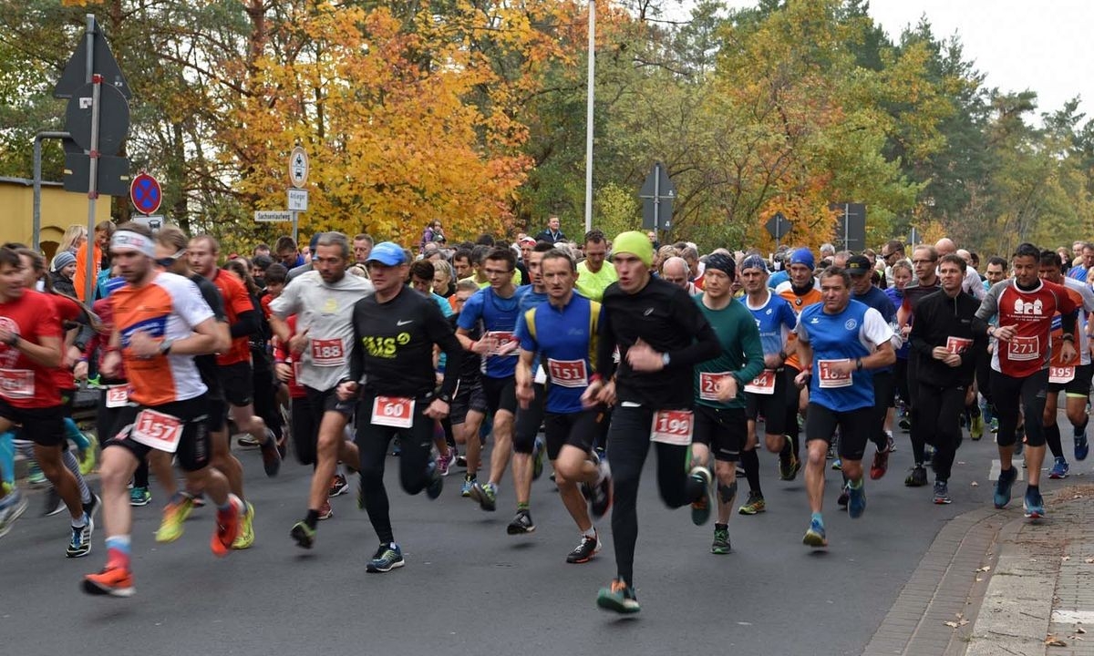 Kleiner Sachsenlauf Coswig, Foto: Sachsenlauf Kleiner Sachsenlauf Coswig, Foto: Sachsenlauf