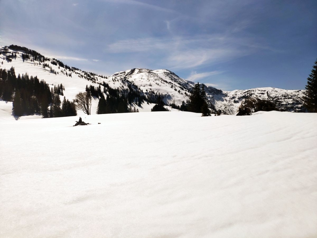 Dürrenstein Normalweg 01: Zentral im Hintergrund der Dürrenstein Dürrenstein Normalweg 01: Zentral im Hintergrund der Dürrenstein