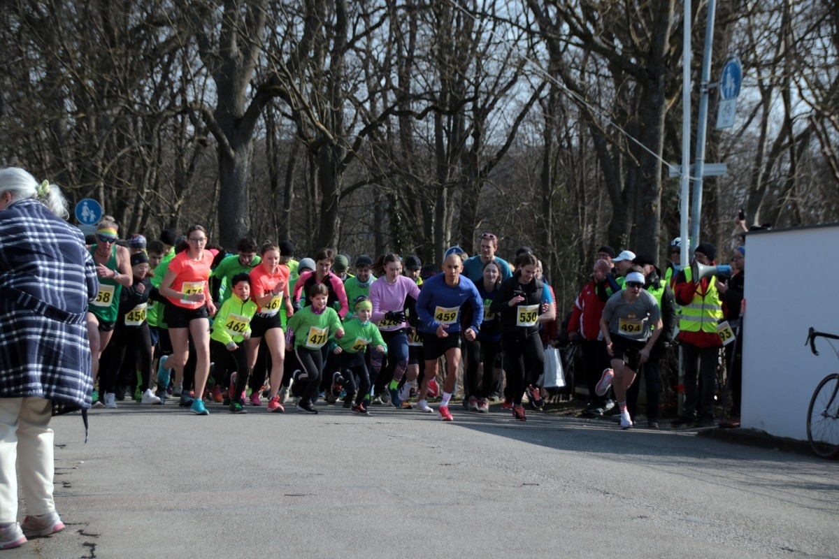 Bad Windsheimer Weinturmlauf, Foto: Veranstalter Bad Windsheimer Weinturmlauf, Foto: Veranstalter