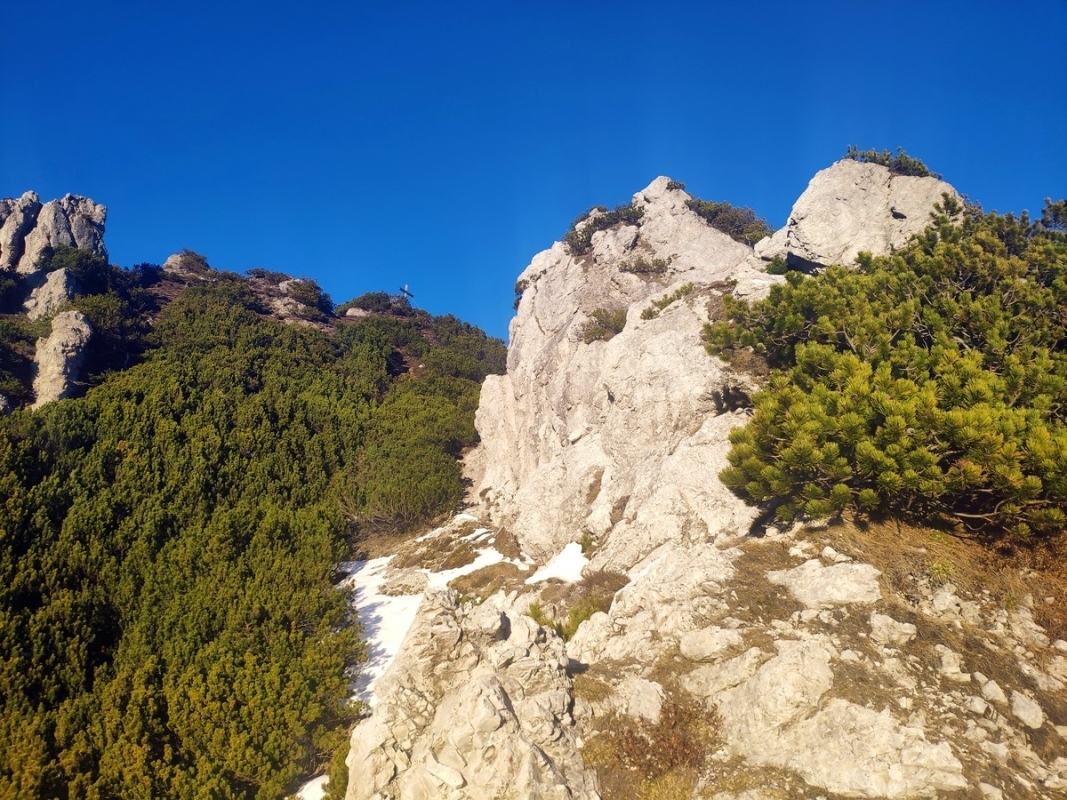 Judenkopf (Judenköpfe) Judenkopf (Judenköpfe)