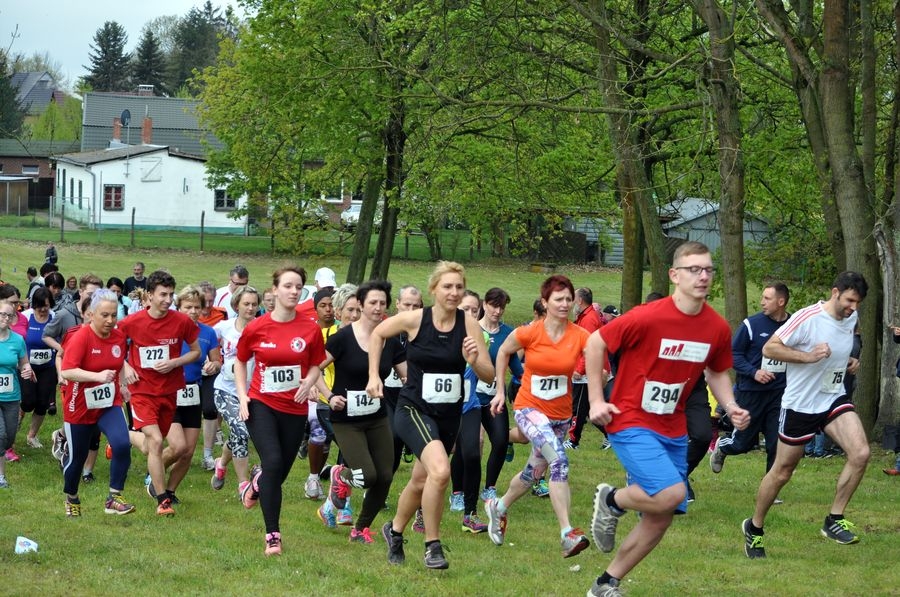 Brüssower Pokallauf (C) Veranstalter Brüssower Pokallauf (C) Veranstalter