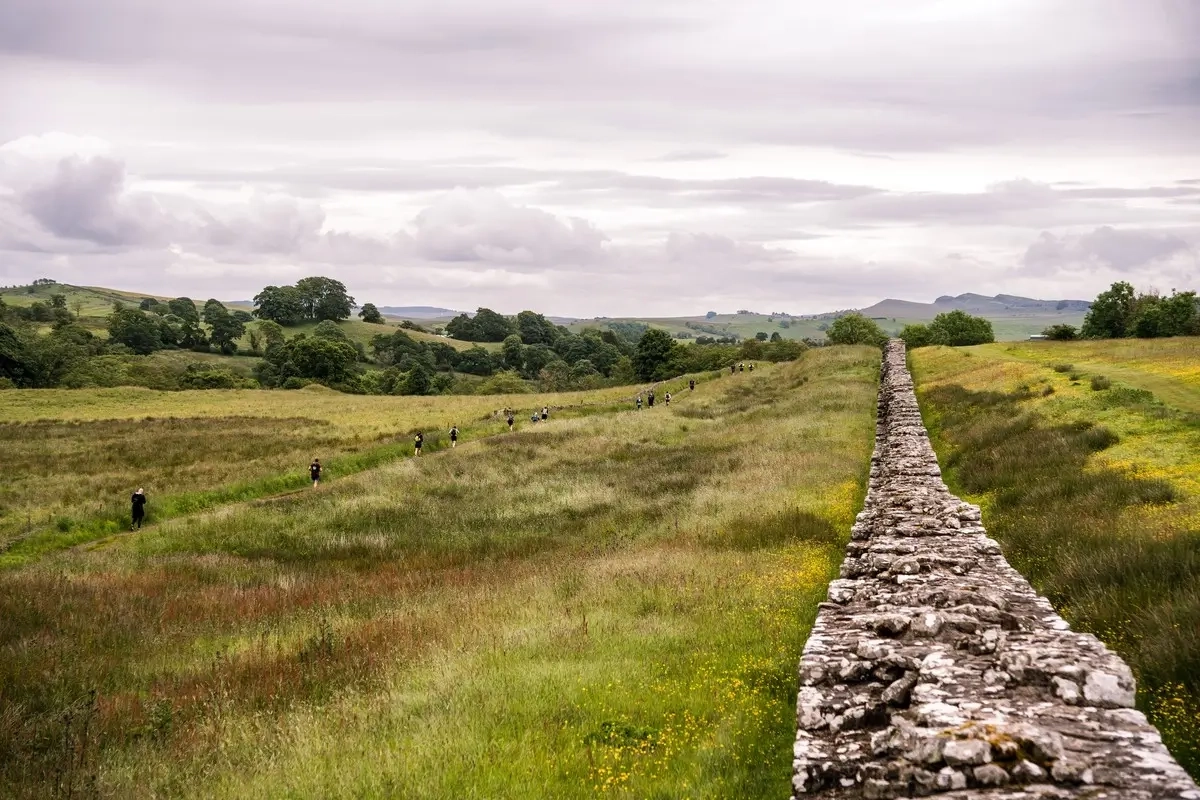 The WallRun 2024 The WallRun 2024