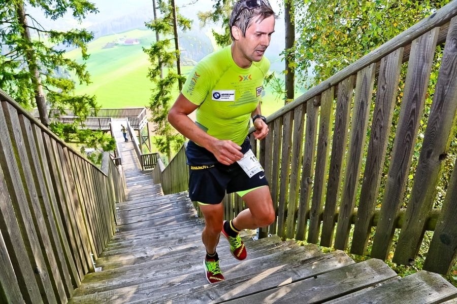 Wipfelwanderweglauf (C) Veranstalter Wipfelwanderweglauf (C) Veranstalter