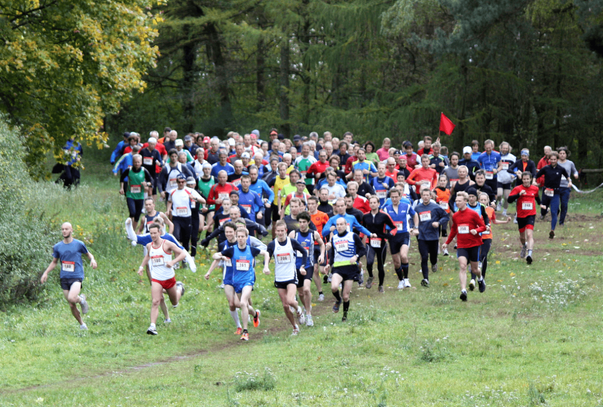 Kieser Training Crosslauf Berlin, Foto Birgid Fischer Kieser Training Crosslauf Berlin, Foto Birgid Fischer