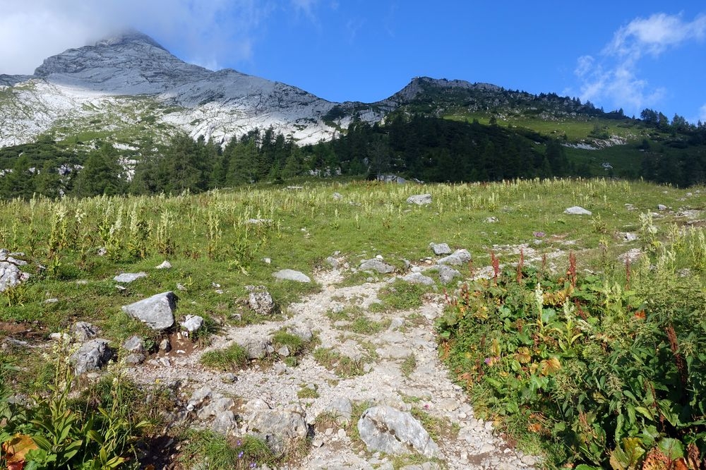 Halb rechts das Watzmannhaus im Blick. Links der Watzmann versteckt Halb rechts das Watzmannhaus im Blick. Links der Watzmann versteckt