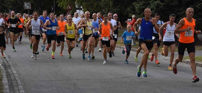 Gerasdorfer Stadtlauf (C) newetschny.com Gerasdorfer Stadtlauf (C) newetschny.com