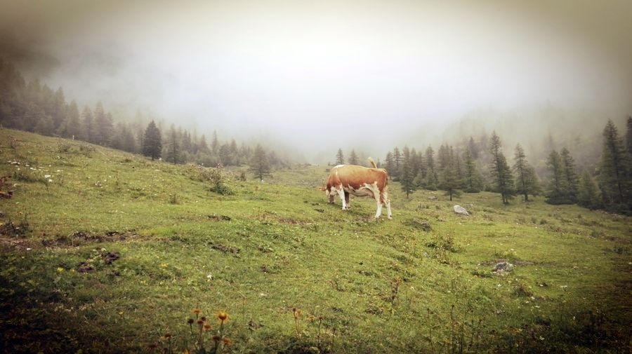 Wander auf die Rax Wander auf die Rax