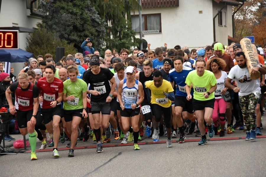 Obersulmer Volkslauf - Rund um den Breitenauer See (c) Veranstalter Obersulmer Volkslauf - Rund um den Breitenauer See (c) Veranstalter