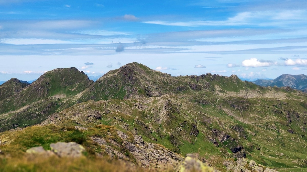 Katzenkopf im Jahr 2023 Katzenkopf im Jahr 2023