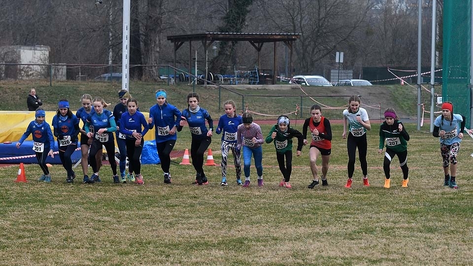 WLV Crosslauf-Cup 2024. Foto: © Johann Newetschny WLV Crosslauf-Cup 2024. Foto: © Johann Newetschny