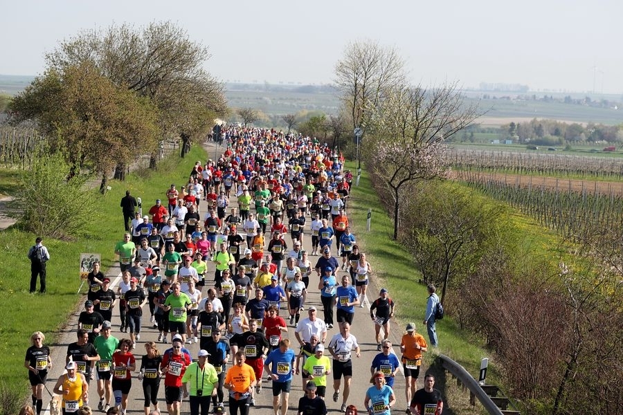 Marathon Deutsche Weinstraße (C) Veranstalter Marathon Deutsche Weinstraße (C) Veranstalter
