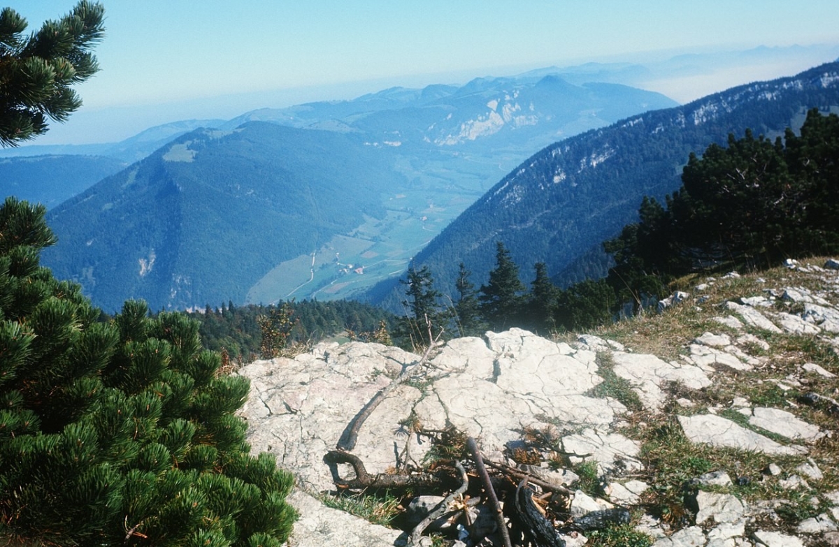 Hasenmatt, Foto: Zentralbibliothek Solothurn, Lizenz: Creative Commons Attribution-Share Alike 4.0 International Hasenmatt, Foto: Zentralbibliothek Solothurn, Lizenz: Creative Commons Attribution-Share Alike 4.0 International