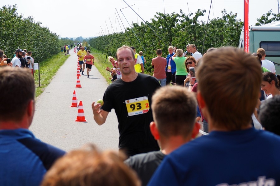 Apfellauf Jork (C) Veranstalter Apfellauf Jork (C) Veranstalter